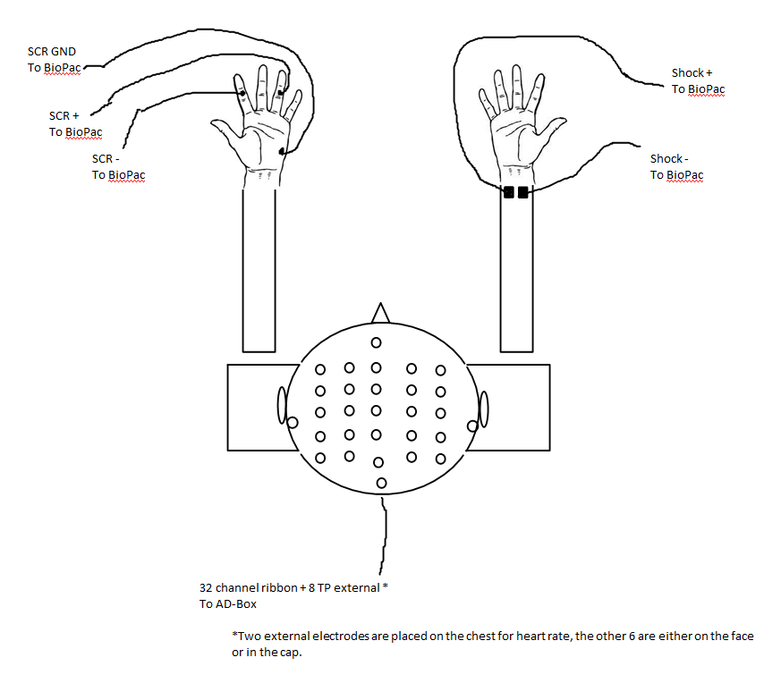 diagram of setup